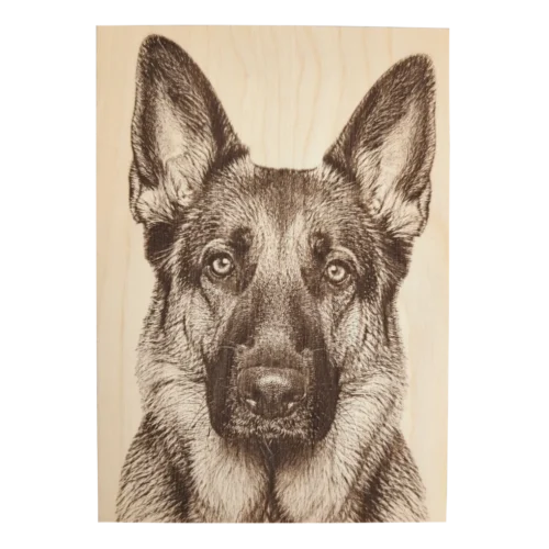 Engraved Wood Photo Plaque