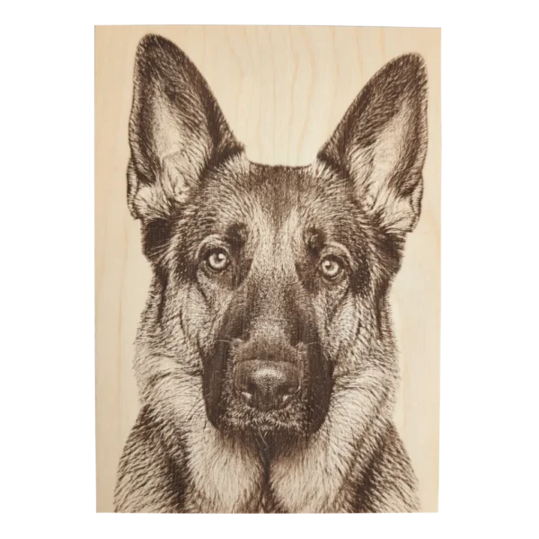 wood-photo-plaque-01 Engraved Wood Photo Plaque